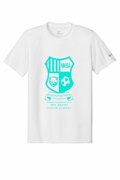 NMSA Nike Swoosh Sleeve rLegend Tee